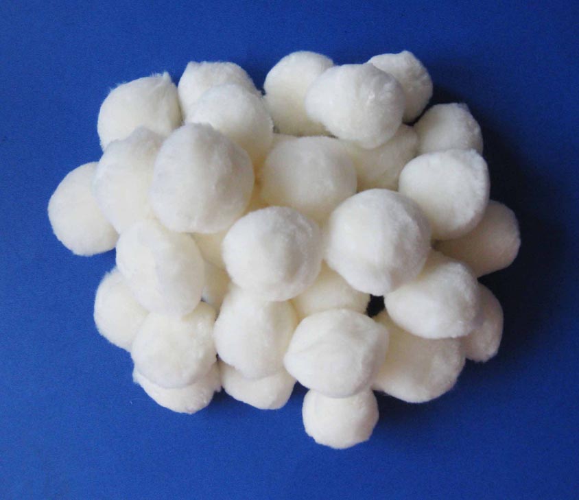 �����w�S������